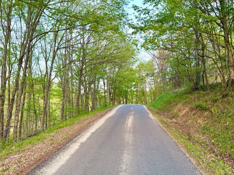 0 St Rt 279, Hamilton Twp, OH 45656 Photo 2