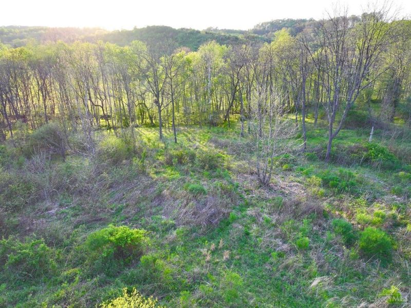 0 St Rt 279, Hamilton Twp, OH 45656 Photo 23