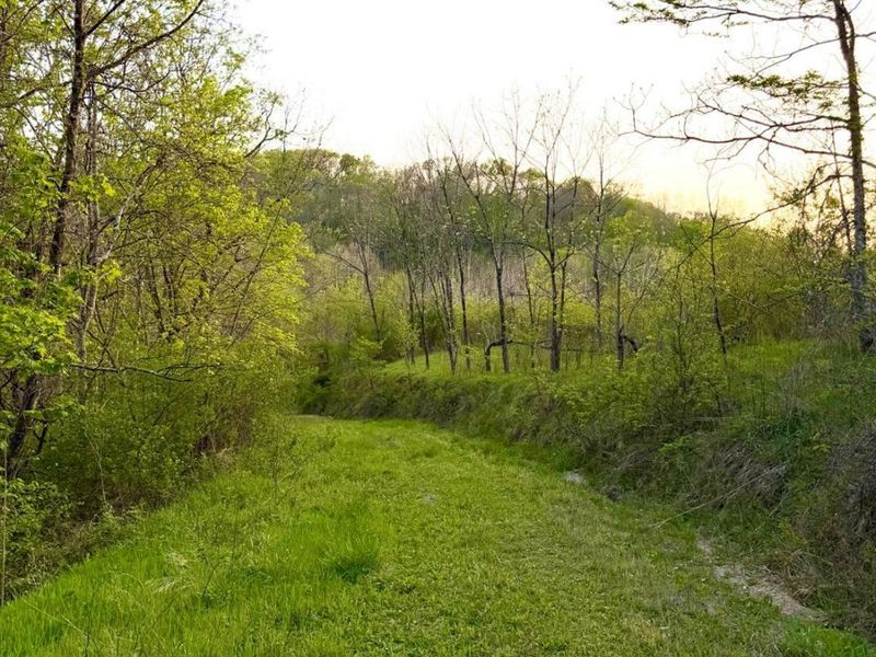 0 St Rt 279, Hamilton Twp, OH 45656 Photo 25