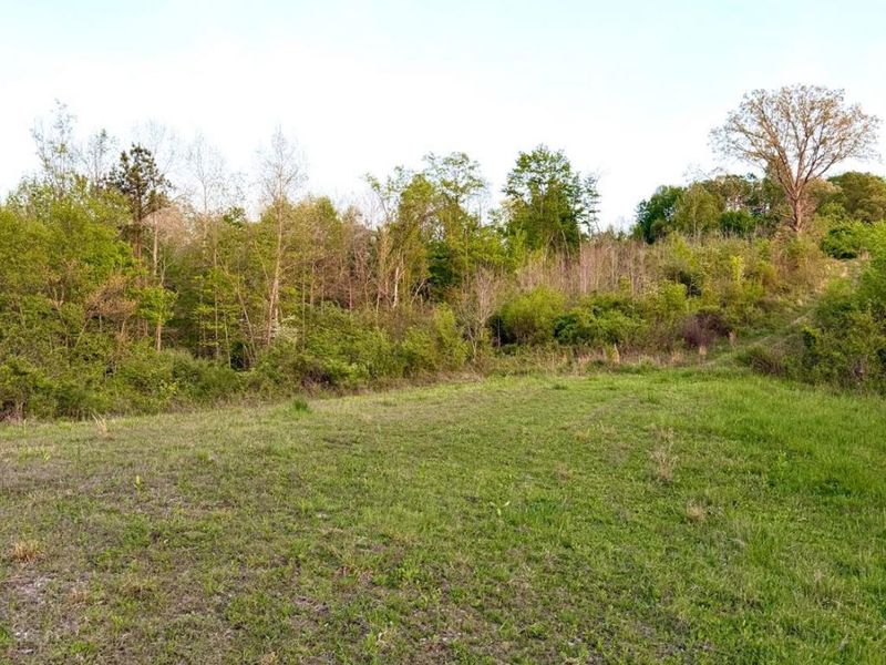 0 St Rt 279, Hamilton Twp, OH 45656 Photo 26