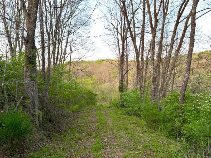 0 St Rt 279, Hamilton Twp, OH 45656 Photo 28