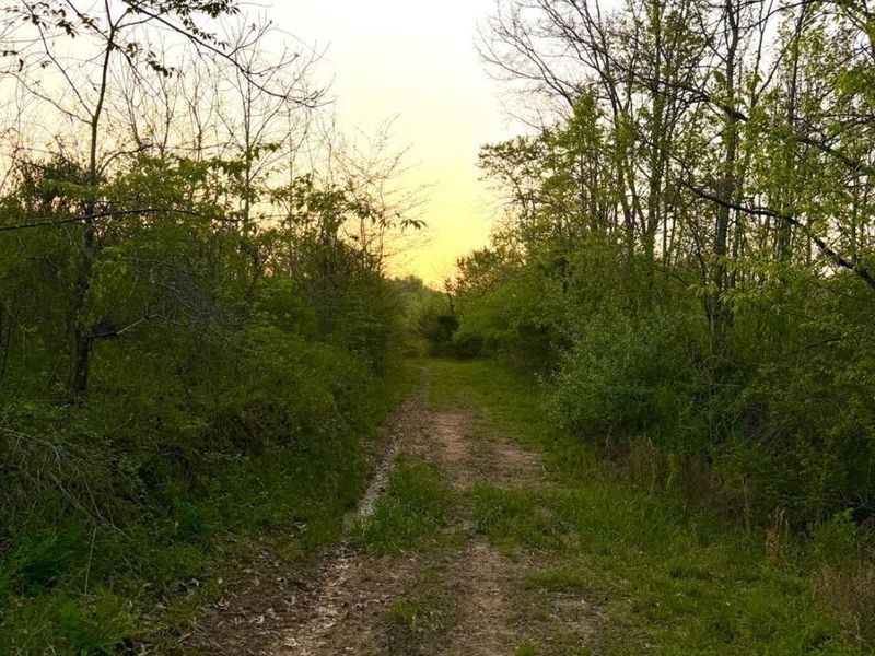 0 St Rt 279, Hamilton Twp, OH 45656 Photo 30