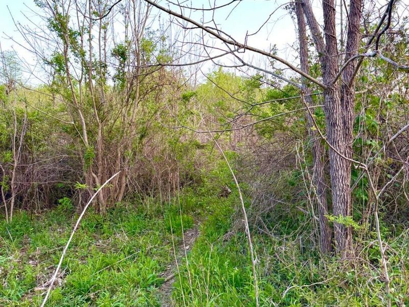 0 St Rt 279, Hamilton Twp, OH 45656 Photo 33