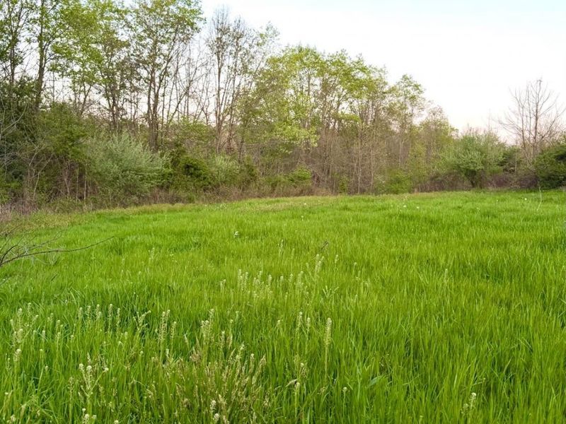 0 St Rt 279, Hamilton Twp, OH 45656 Photo 35