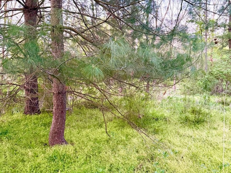 0 St Rt 279, Hamilton Twp, OH 45656 Photo 36