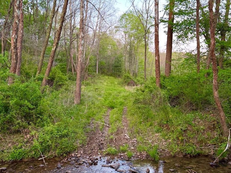 0 St Rt 279, Hamilton Twp, OH 45656 Photo 37