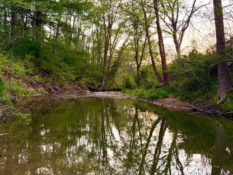 0 St Rt 279, Hamilton Twp, OH 45656 Photo 38