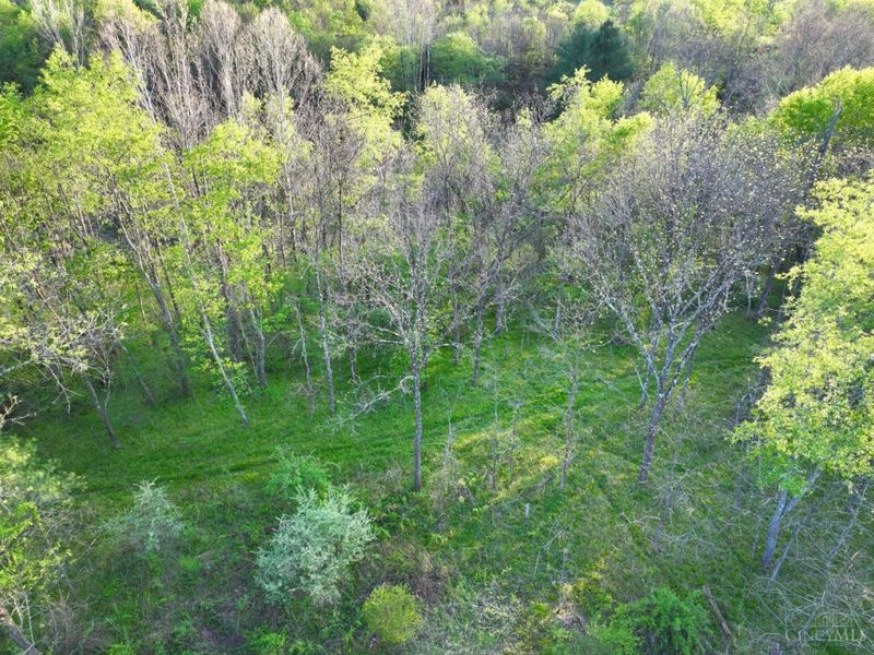 0 St Rt 279, Hamilton Twp, OH 45656 Photo 47