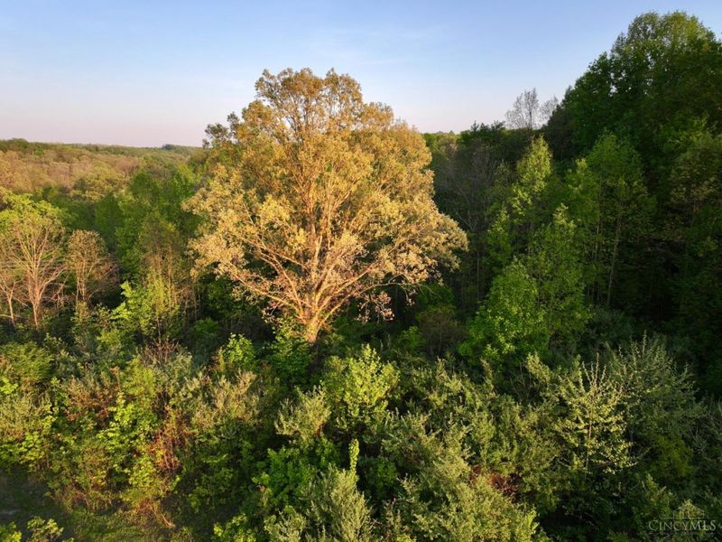 0 St Rt 279, Hamilton Twp, OH 45656 Photo 63