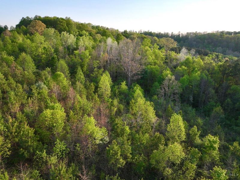 0 St Rt 279, Hamilton Twp, OH 45656 Photo 69