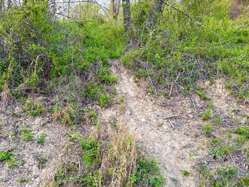 0 St Rt 279, Hamilton Twp, OH 45656 Photo 72