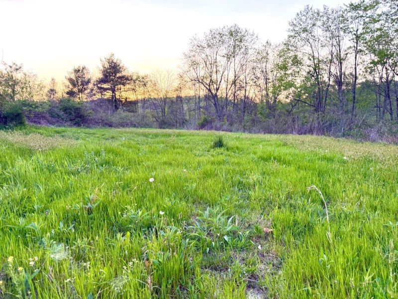 0 St Rt 279, Hamilton Twp, OH 45656 Photo 74