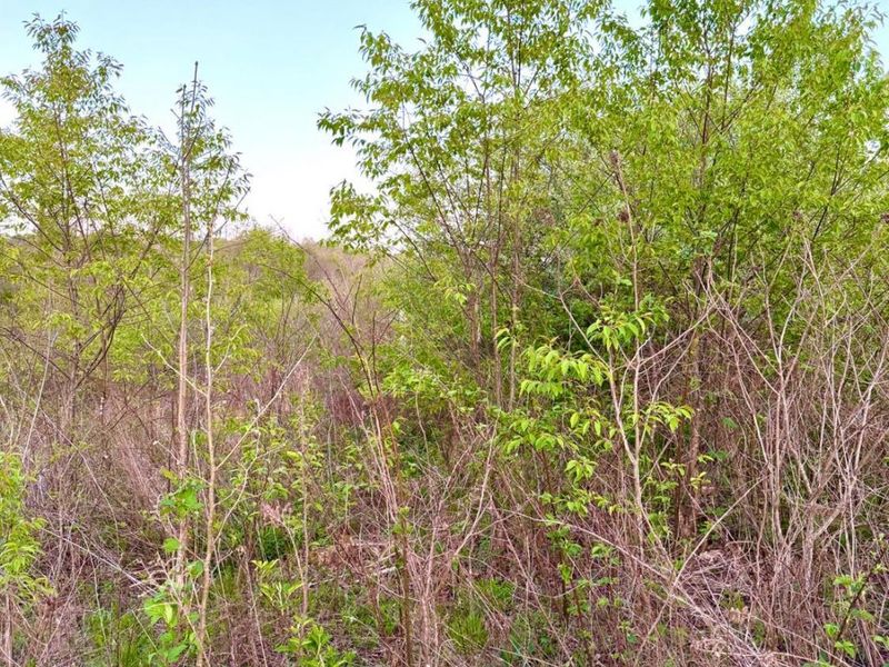 0 St Rt 279, Hamilton Twp, OH 45656 Photo 77