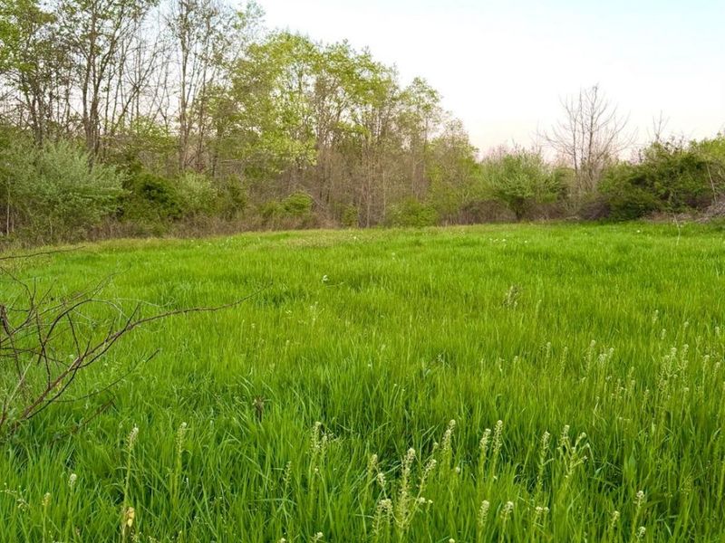 0 St Rt 279, Hamilton Twp, OH 45656 Photo 79
