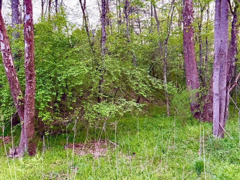 0 St Rt 279, Hamilton Twp, OH 45656 Photo 80
