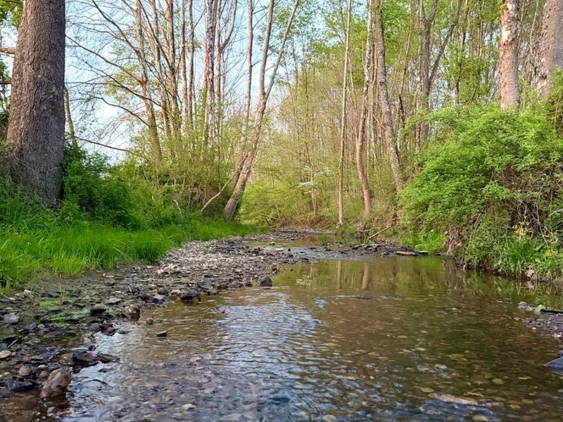 0 St Rt 279, Hamilton Twp, OH 45656 Photo 81