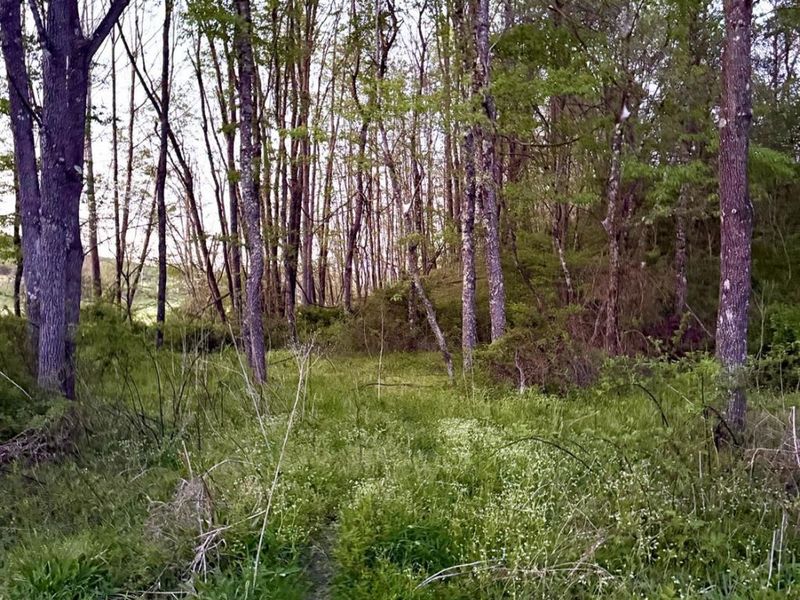 0 St Rt 279, Hamilton Twp, OH 45656 Photo 82