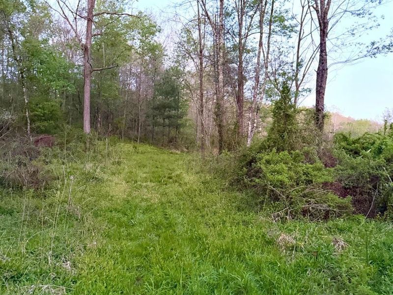 0 St Rt 279, Hamilton Twp, OH 45656 Photo 84
