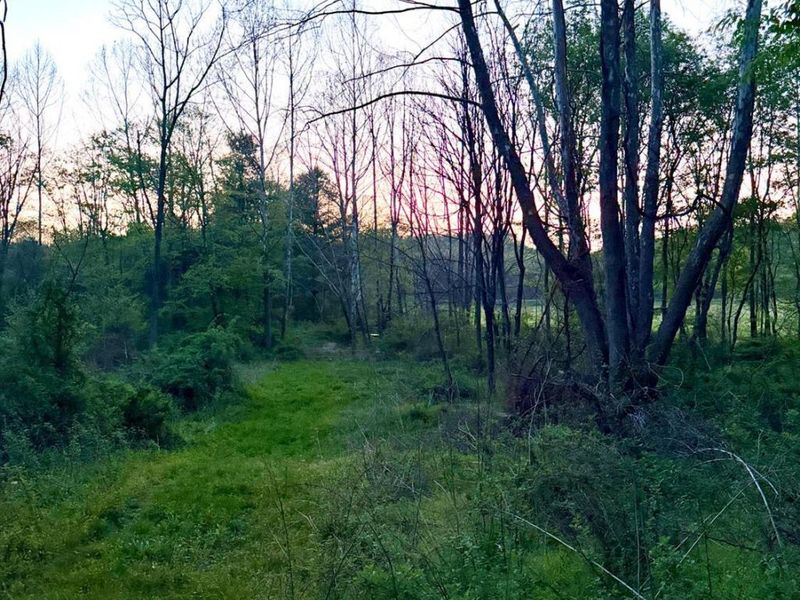0 St Rt 279, Hamilton Twp, OH 45656 Photo 86