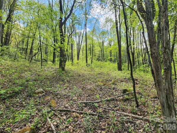 165 Wagon Wheel Way, Canton, NC 28716