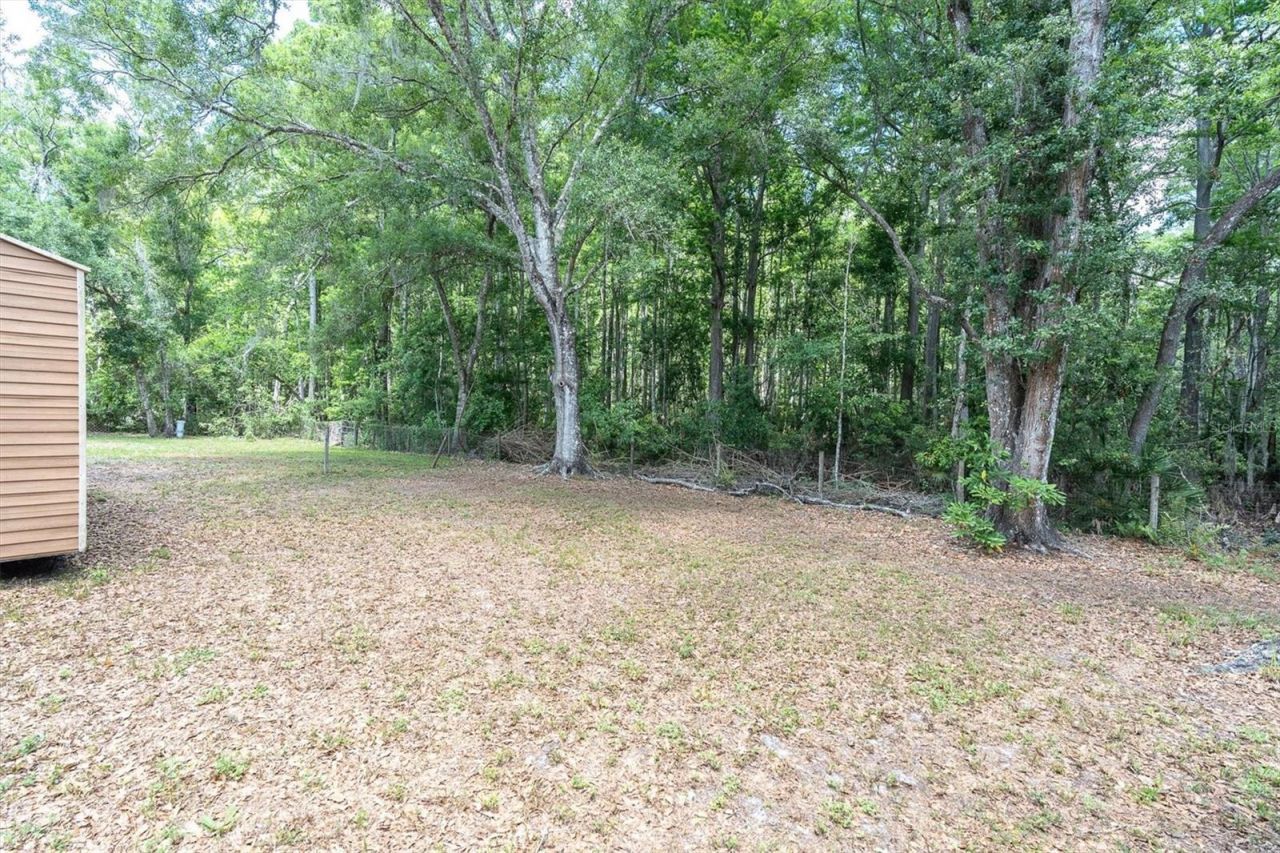 10411 Chip Lane , New Port Richey, FL 34654 Photo
