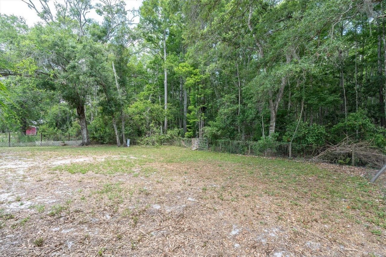 10411 Chip Lane , New Port Richey, FL 34654 Photo