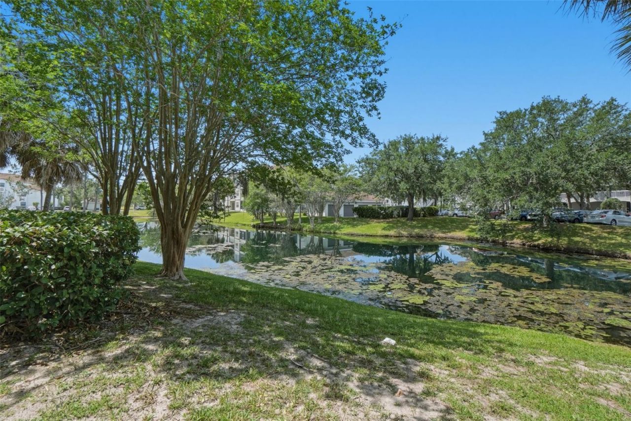 14036 Fairway Island Drive, Unit 1515, Orlando, FL 32837 Photo