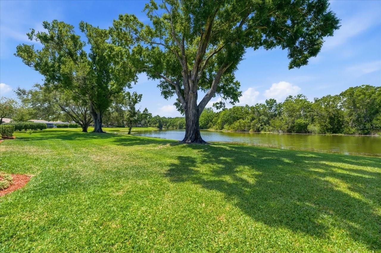 4326 Middle Lake Drive, Tampa, FL 33624 Photo