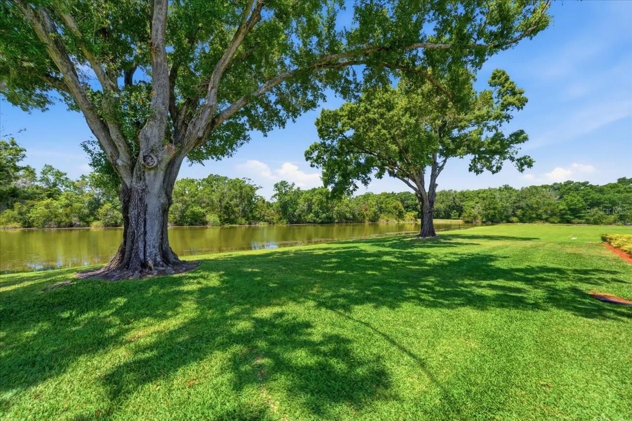 4326 Middle Lake Drive, Tampa, FL 33624 Photo