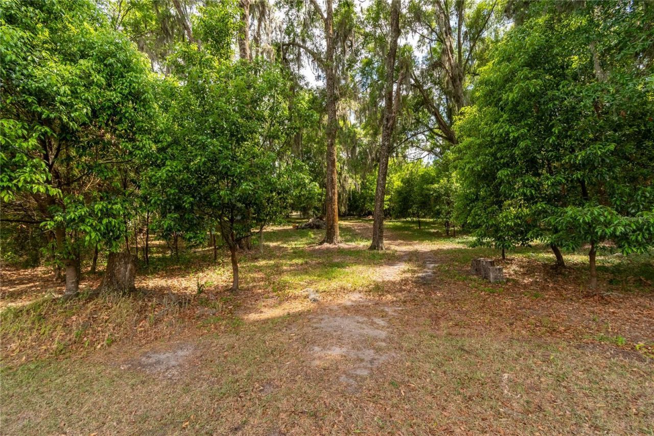 5021 NW 101st Street Road, Ocala, FL 34482 Photo