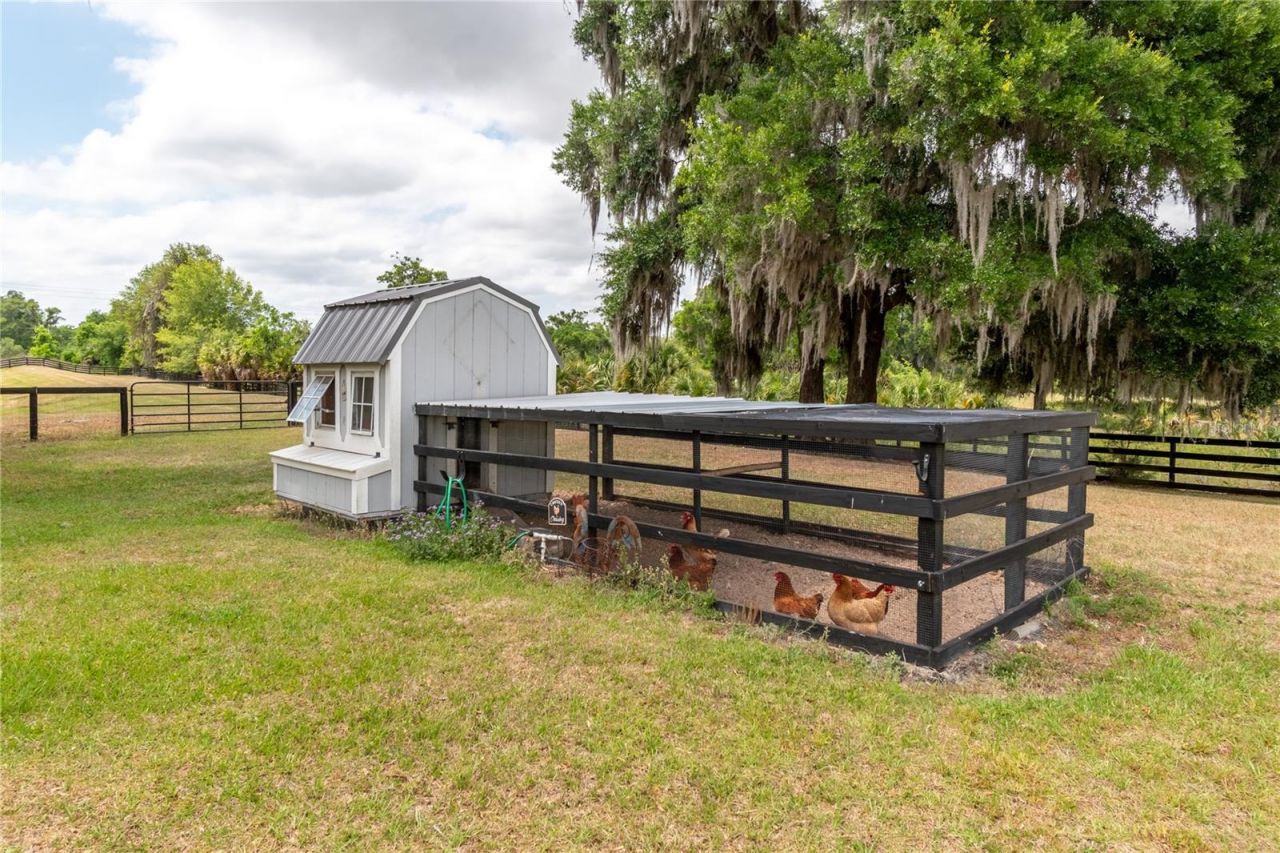 5021 NW 101st Street Road, Ocala, FL 34482 Photo
