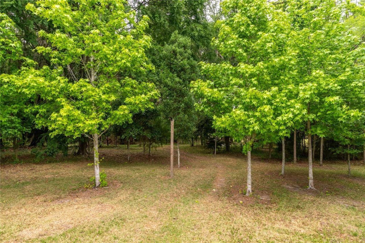 5021 NW 101st Street Road, Ocala, FL 34482 Photo