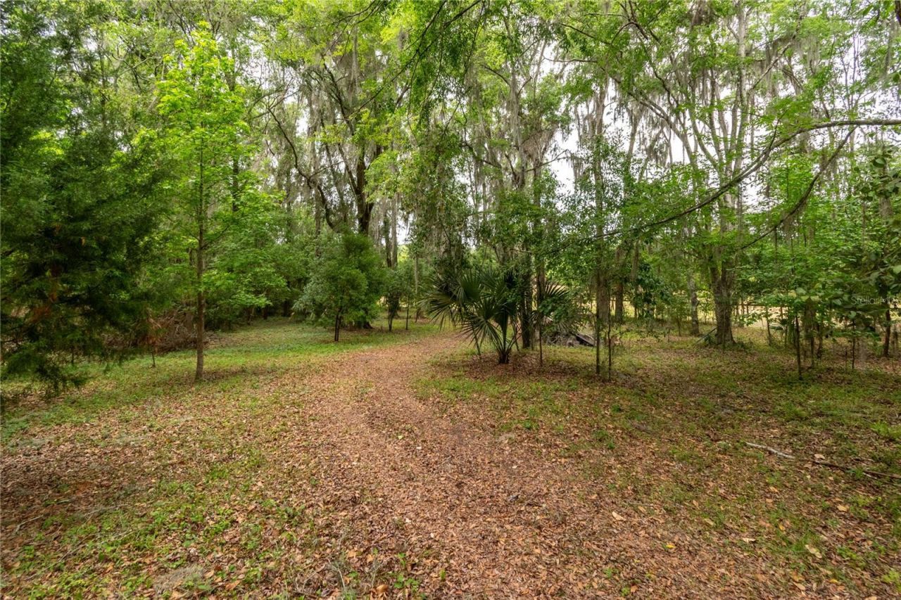 5021 NW 101st Street Road, Ocala, FL 34482 Photo