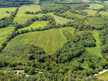 920 Driftwood Drive, Irvine, KY 40336