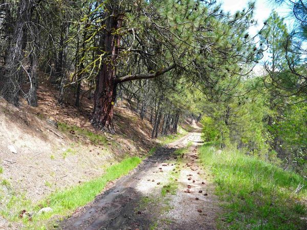 Lot 8 Fire Ridge Rd., Garden Valley, ID 83622