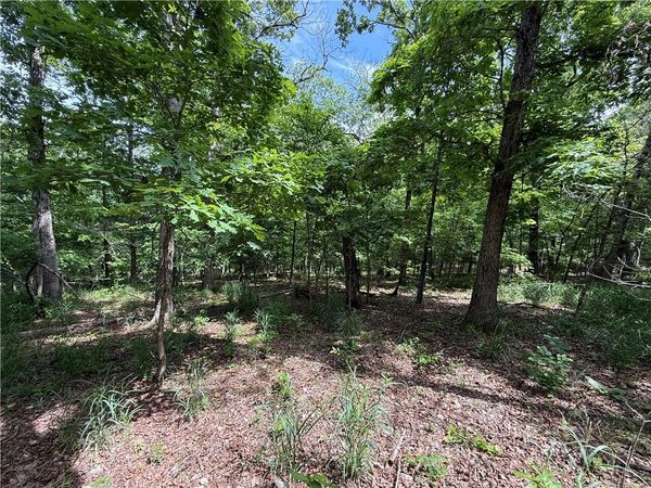 TBD CR 206, Eureka Springs, AR 72632