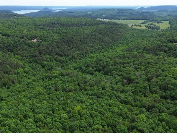 000 East Mountain Road, Bee Branch, AR 72013