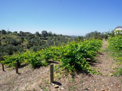 3235 Hagen Rd, Valley Springs, CA 95252 Photo