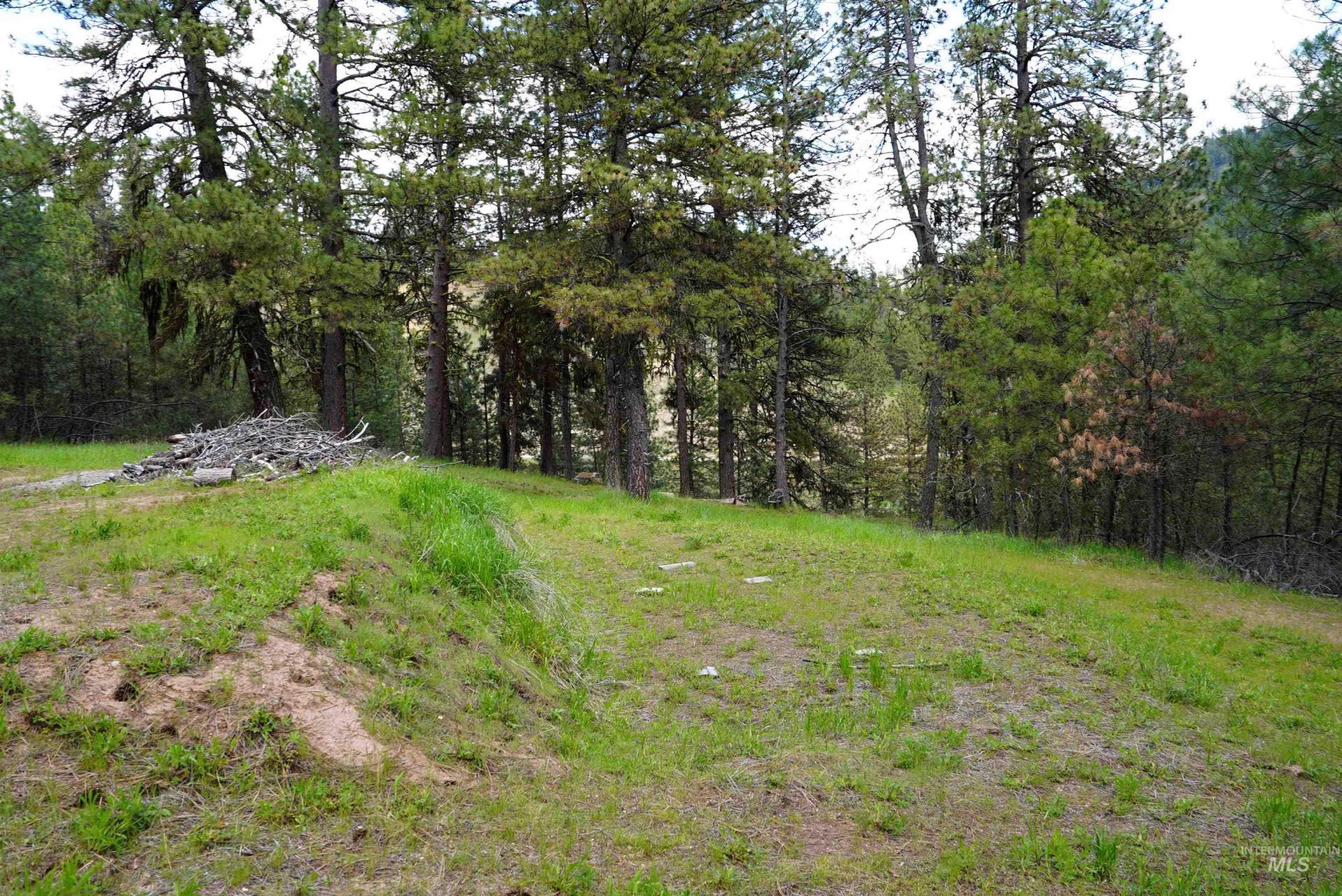 Lot 24&26 Fire Ridge Rd., Garden Valley, ID 83622 Main Photo