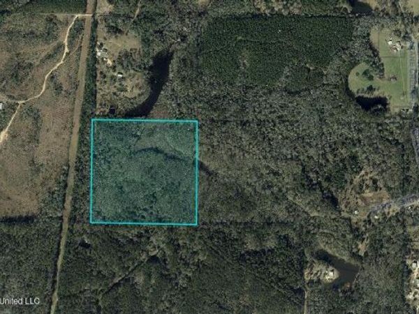 Owl Hoot Road, Perkinston, MS 39573