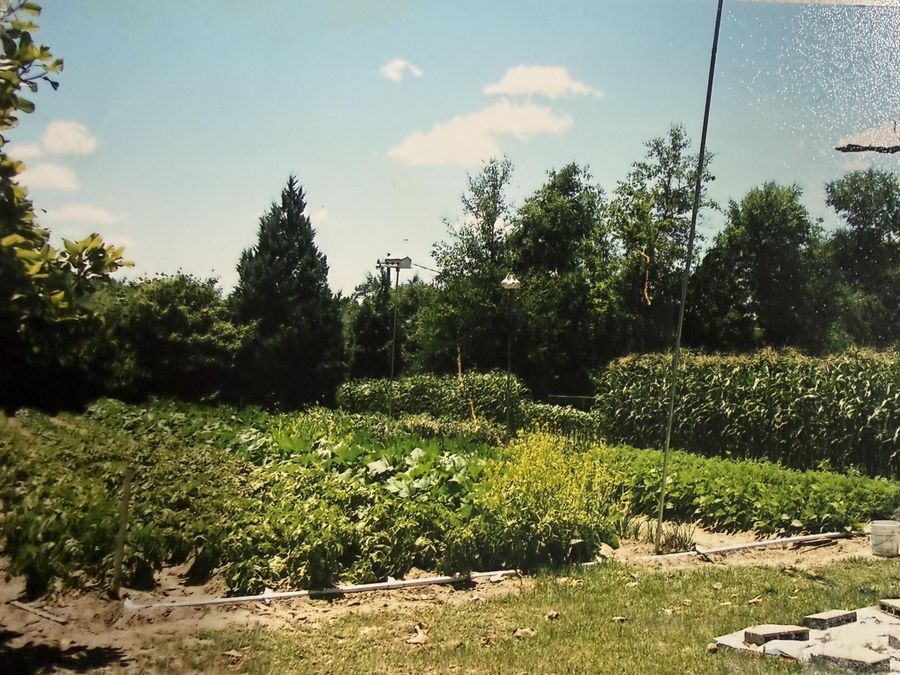 Property Image 25