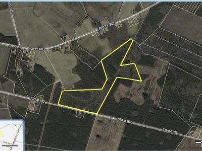 452 Tram Rd. , Cades, SC 29518