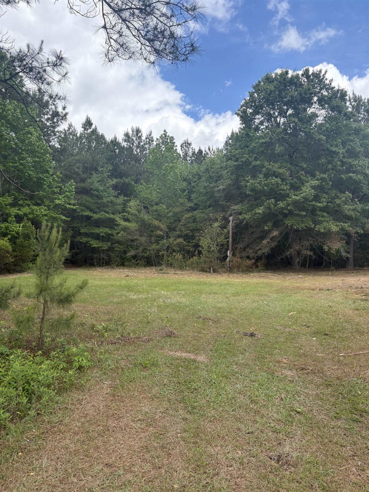 452 Tram Rd.  Photo 11
