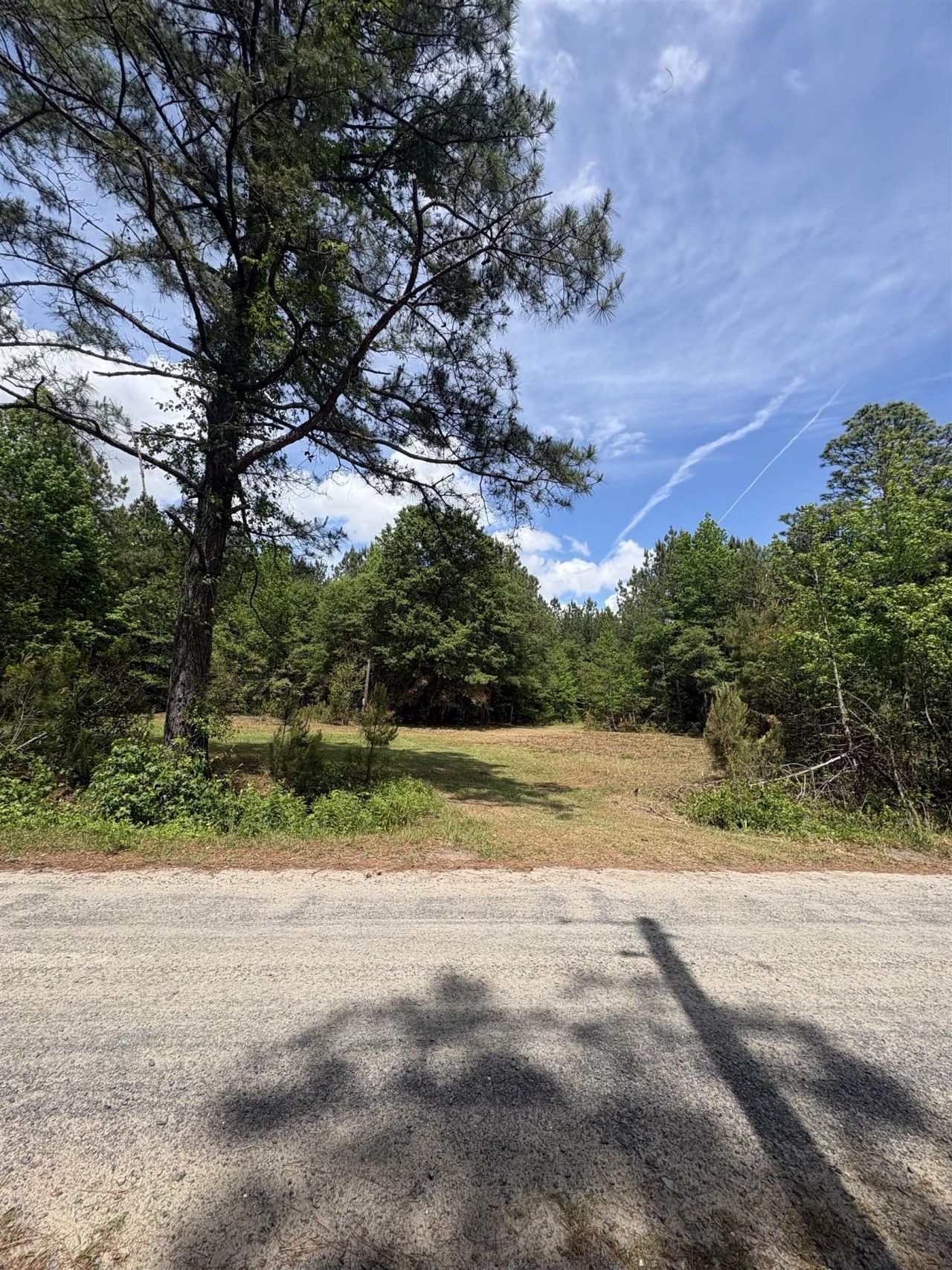 452 Tram Rd.  Photo 12