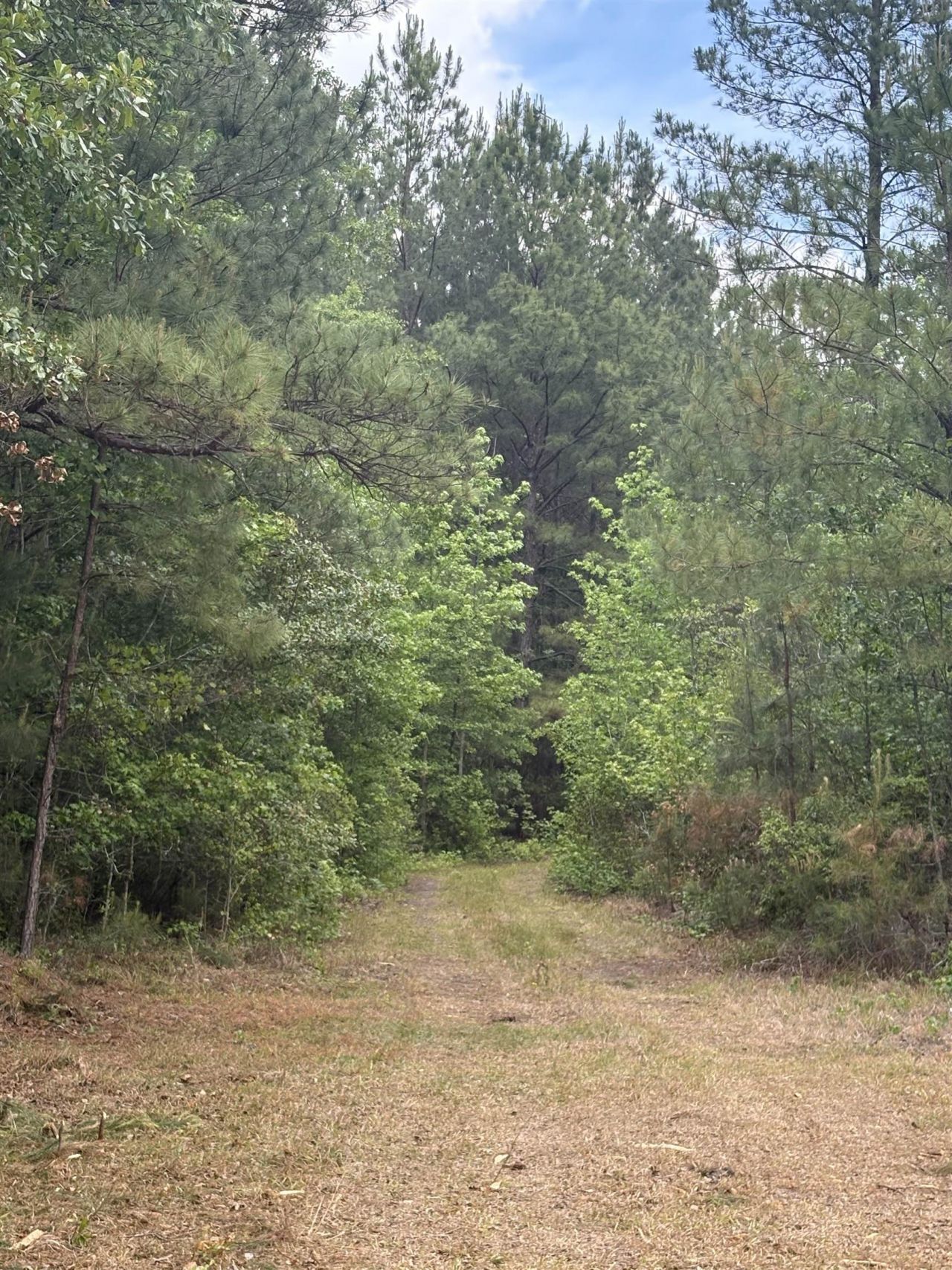 452 Tram Rd.  Photo 13