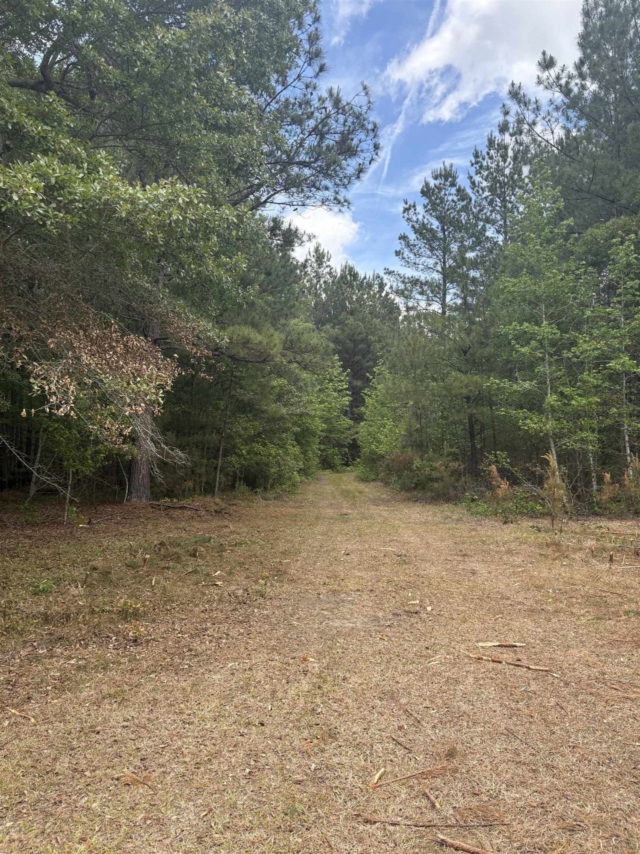 452 Tram Rd.  Photo 14