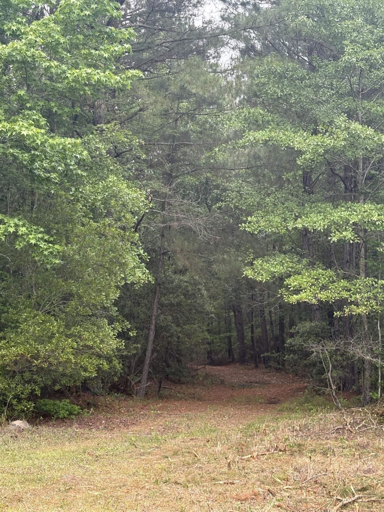 452 Tram Rd.  Photo 15