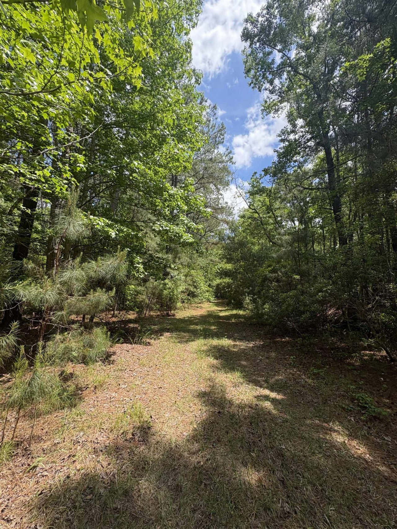 452 Tram Rd.  Photo 17