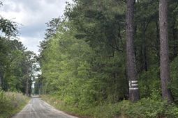 452 Tram Rd.  photo 4