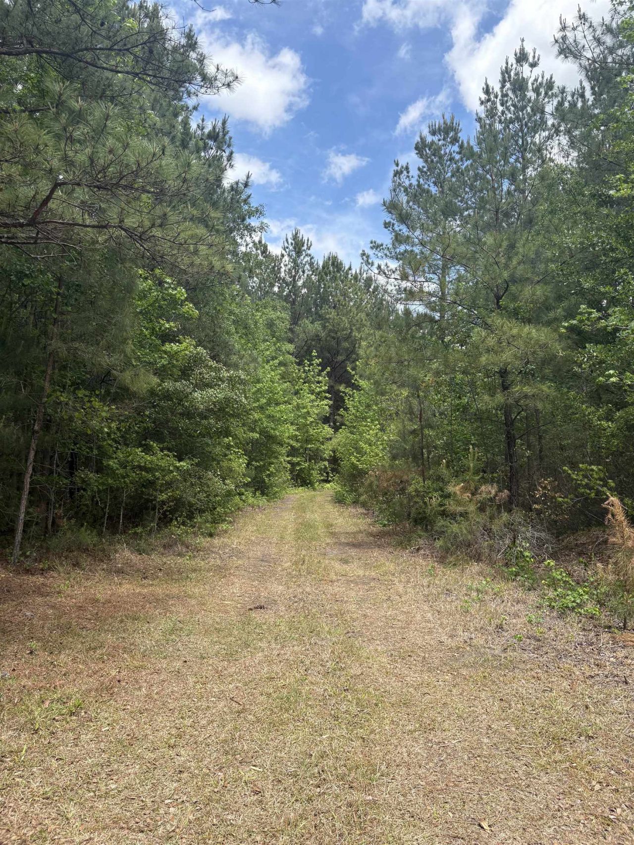 452 Tram Rd.  Photo 20